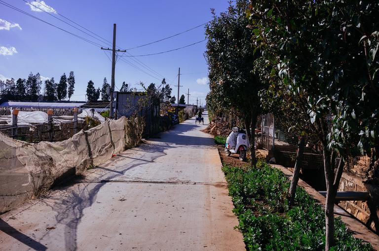 I cut through the farming plots through this side road. The tricycle in the distance is the older lady I met briefly.