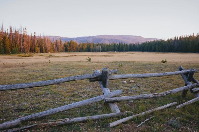 Broadwater Meadow at sunset.