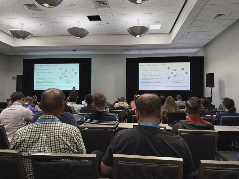 DDOS protection through a Remote Triggered Black Hole.