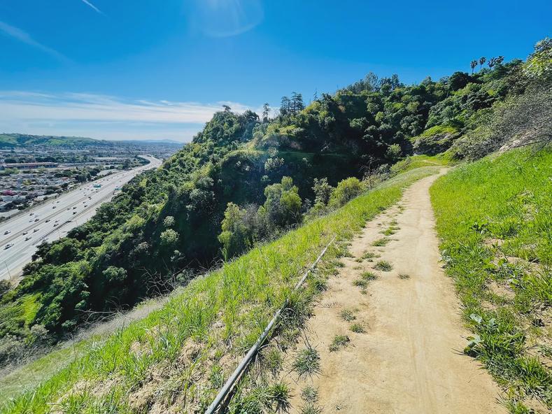 On the Frogtown Trail in Los Angeles, California.