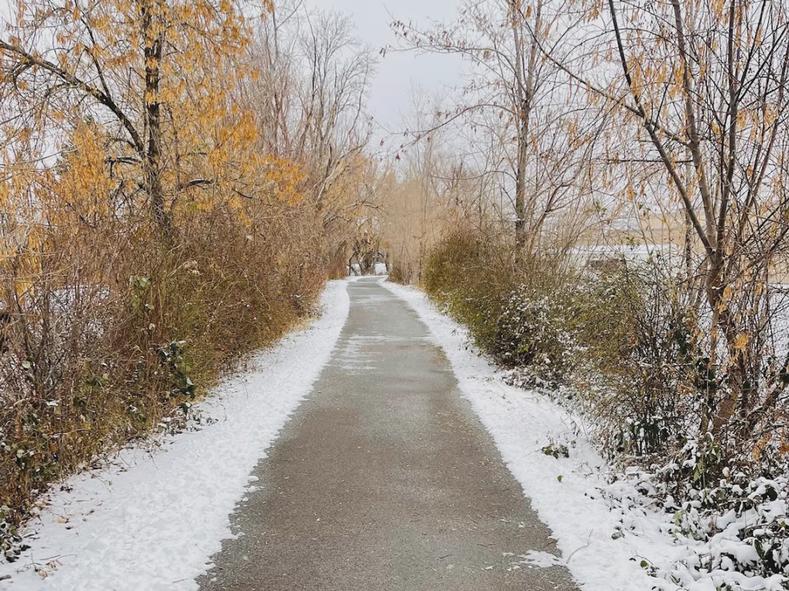 Snowy Day on the Trail.