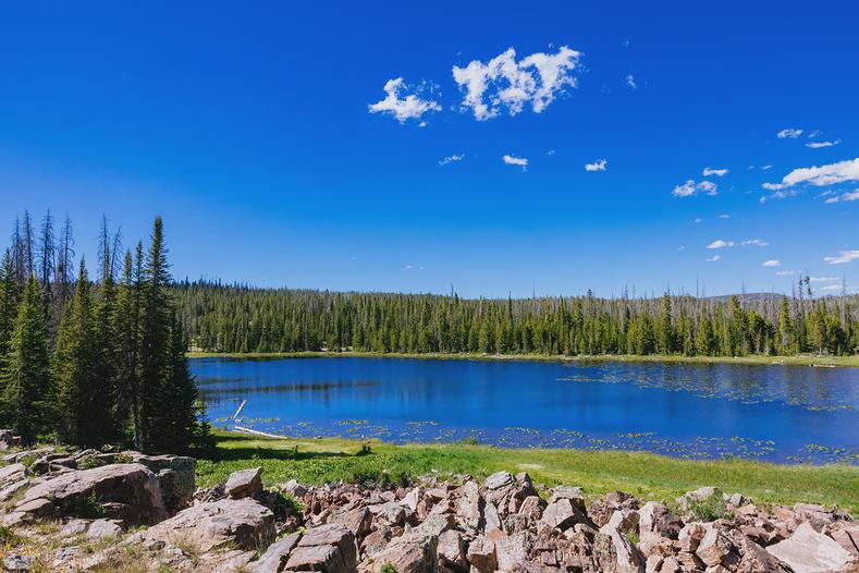 Iron Mine Lake camp spot.