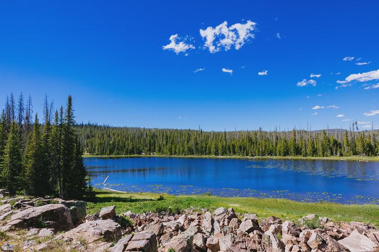 Iron Mine Lake camp spot.