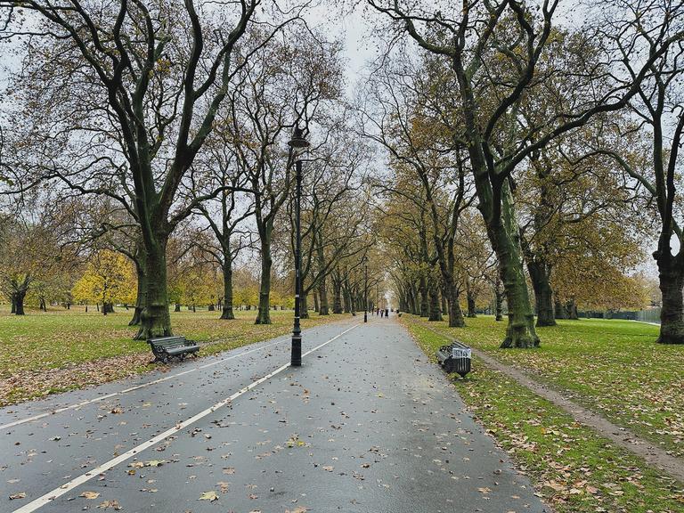 A buffet of parks in London over 8.12 miles in late November. After leaving my hotel I went through St. Jame’s Park, Green Park, Hyde Park, Kensington Gardens, The Rose Garden, and a final bit through the Buckingham Palace Garden. Where ever I go, I seem to be drawn to a wealth of green nature. A buffet of parks in London over 8.12 miles in late November. After leaving my hotel I went through St. Jame’s Park, Green Park, Hyde Park, Kensington Gardens, The Rose Garden, and a final bit through the Buckingham Palace Garden. Where ever I go, I seem to be drawn to a wealth of green nature.