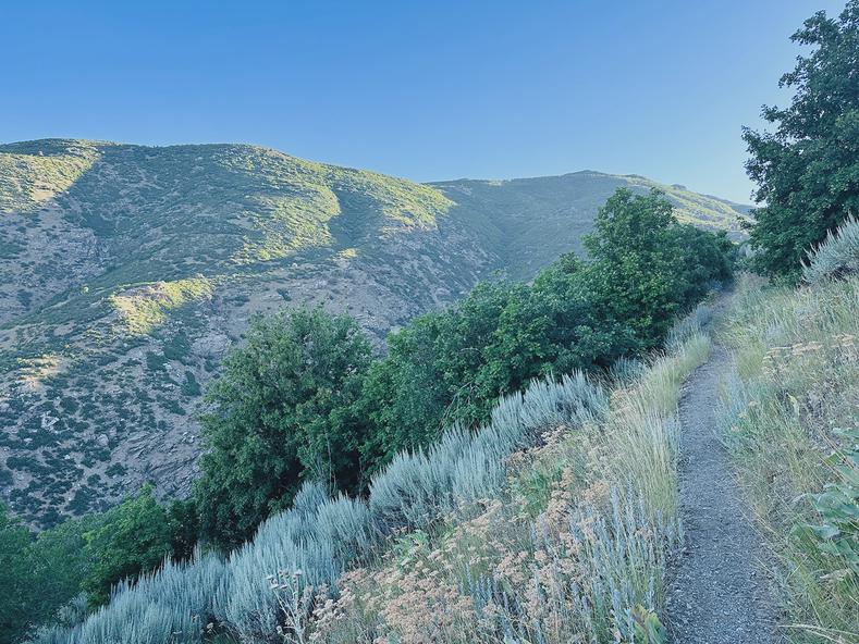 I snapped one of my carbon fiber Black Diamond trekking poles on this 18.19 mile run in the middle of July. It had a good long life. It will be missed.