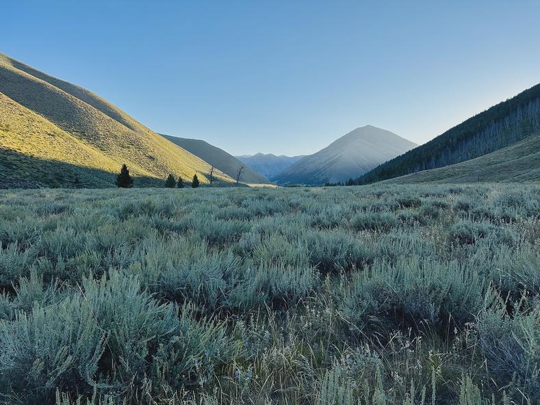 A beautiful 10.84 mile run in the early morning outside of Sun Valley, Idaho. I was camping in a valley to the north of Ketchum. It was rather cold in the early morning despite being August.