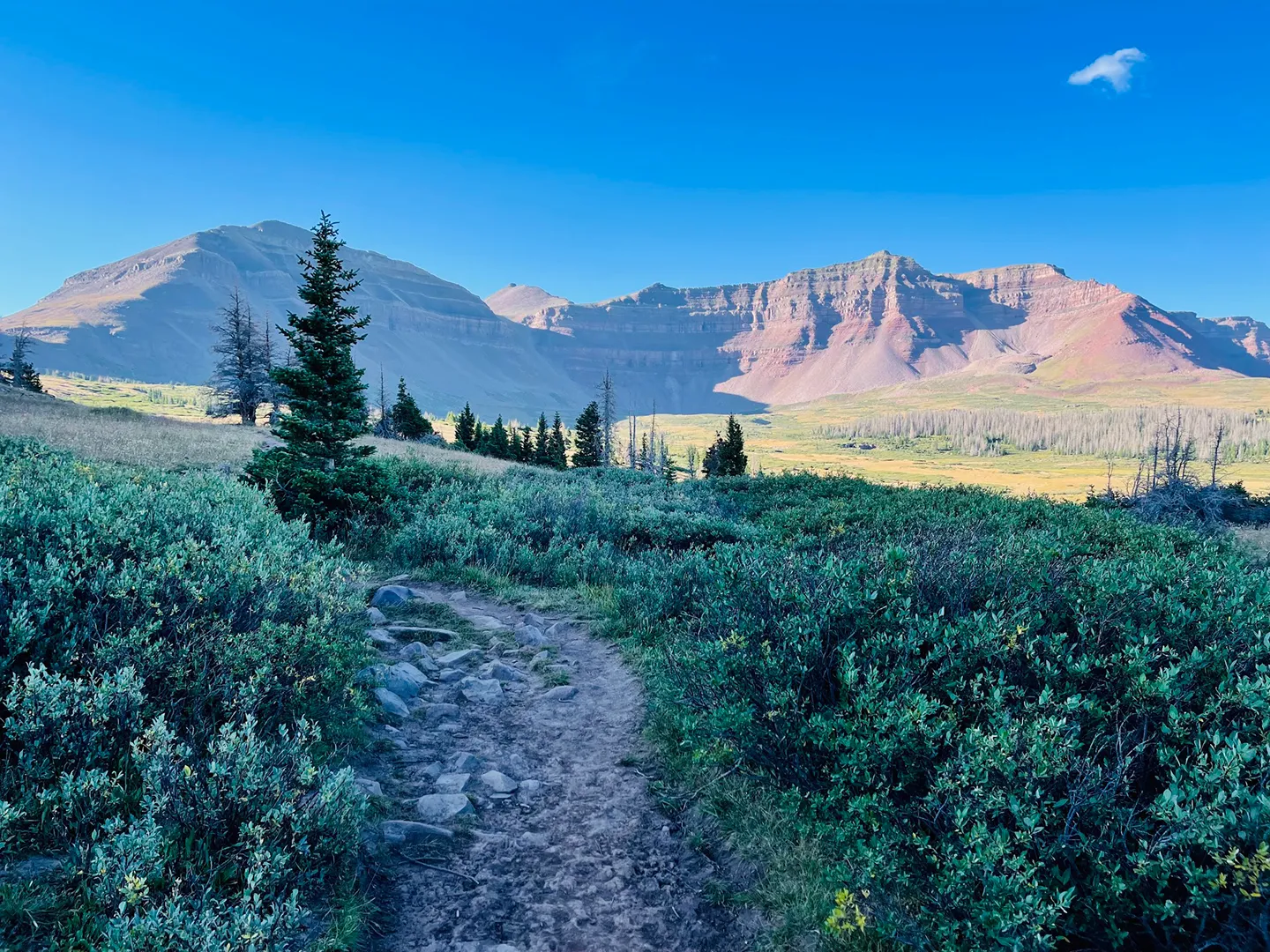 Running Kings Peak—Ryan Bagley