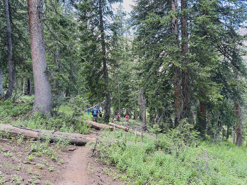 Between the Water Pipe Aid Station and Mineral Basin Aid Station.