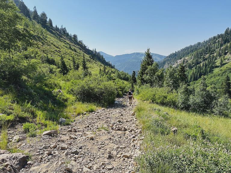 This terrain was not conducive to running. I heard several runners complain about being unable to make up time on this downhill due to the terrain. This terrain was not conducive to running. I heard several runners complain about being unable to make up time on this downhill due to the terrain.
