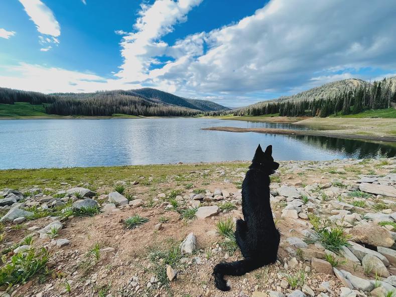 Whitney Reservoir with Dietrich