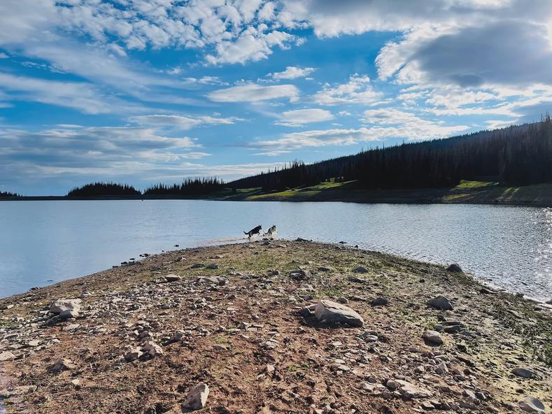 Whitney Reservoir with Dietrich and Ulrich playing.