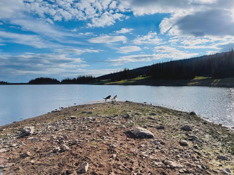 Whitney Reservoir with Dietrich and Ulrich playing.