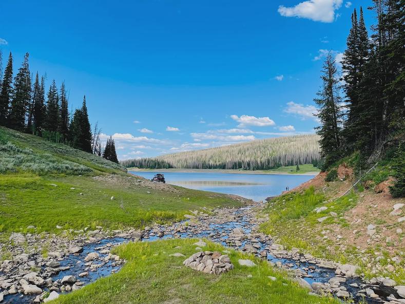 A small stream feeding into Whitney Reservoir.