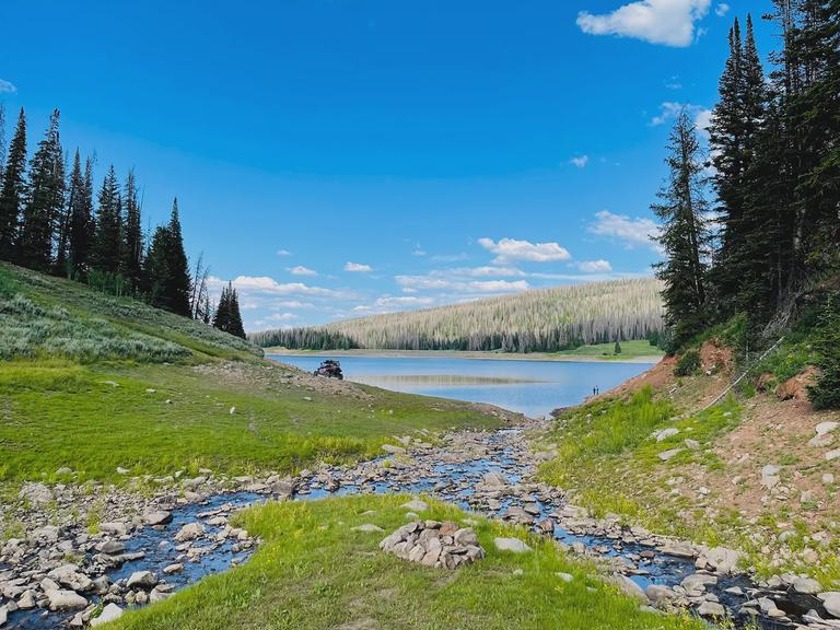 A small stream feeding into Whitney Reservoir.